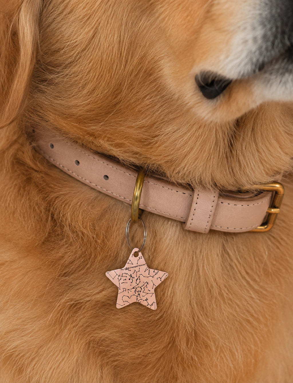 My Lucky Star