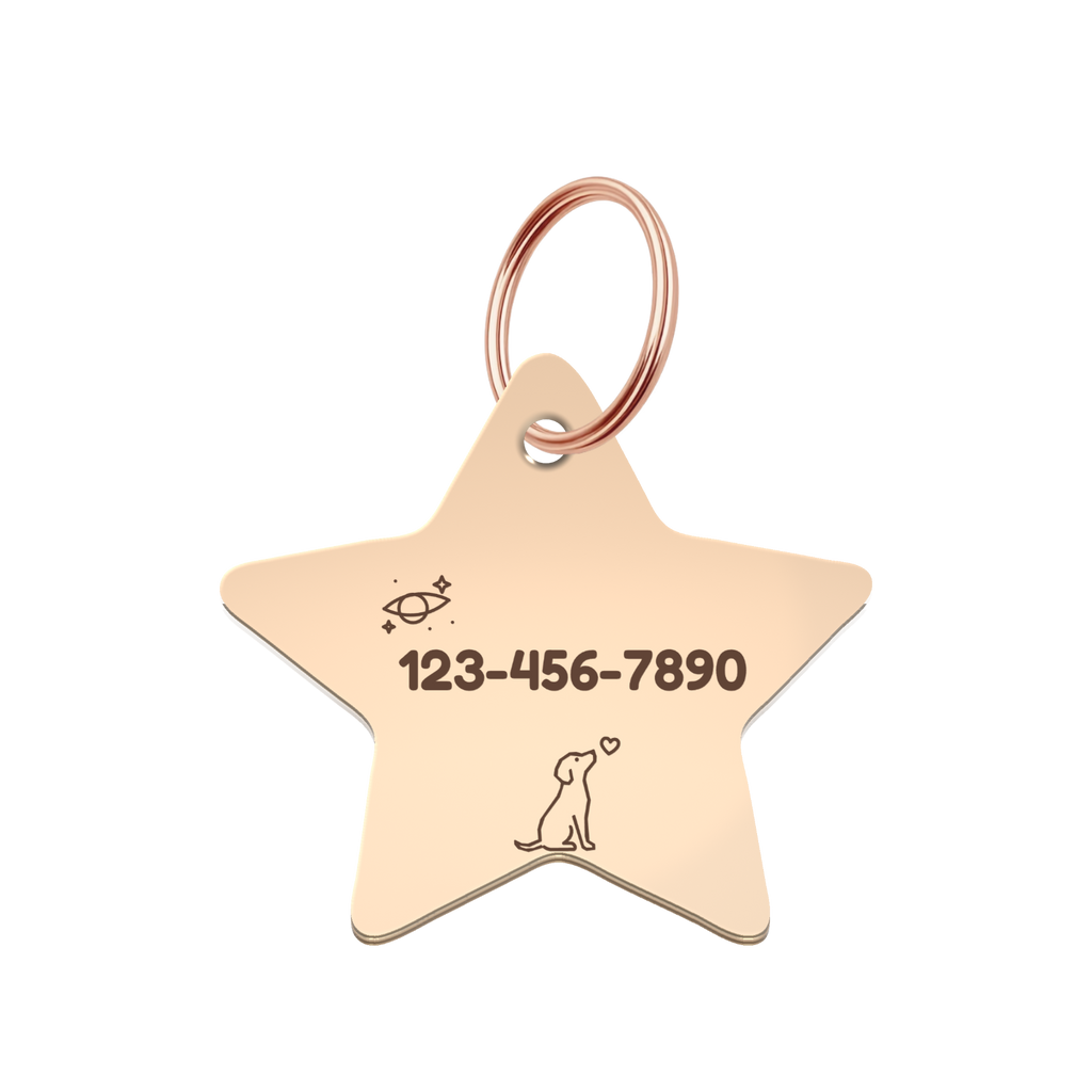 My Little Explorer Custom Star Pet Tag