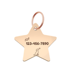 My Little Explorer Custom Star Pet Tag