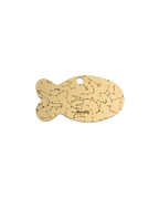 Celestial Companion