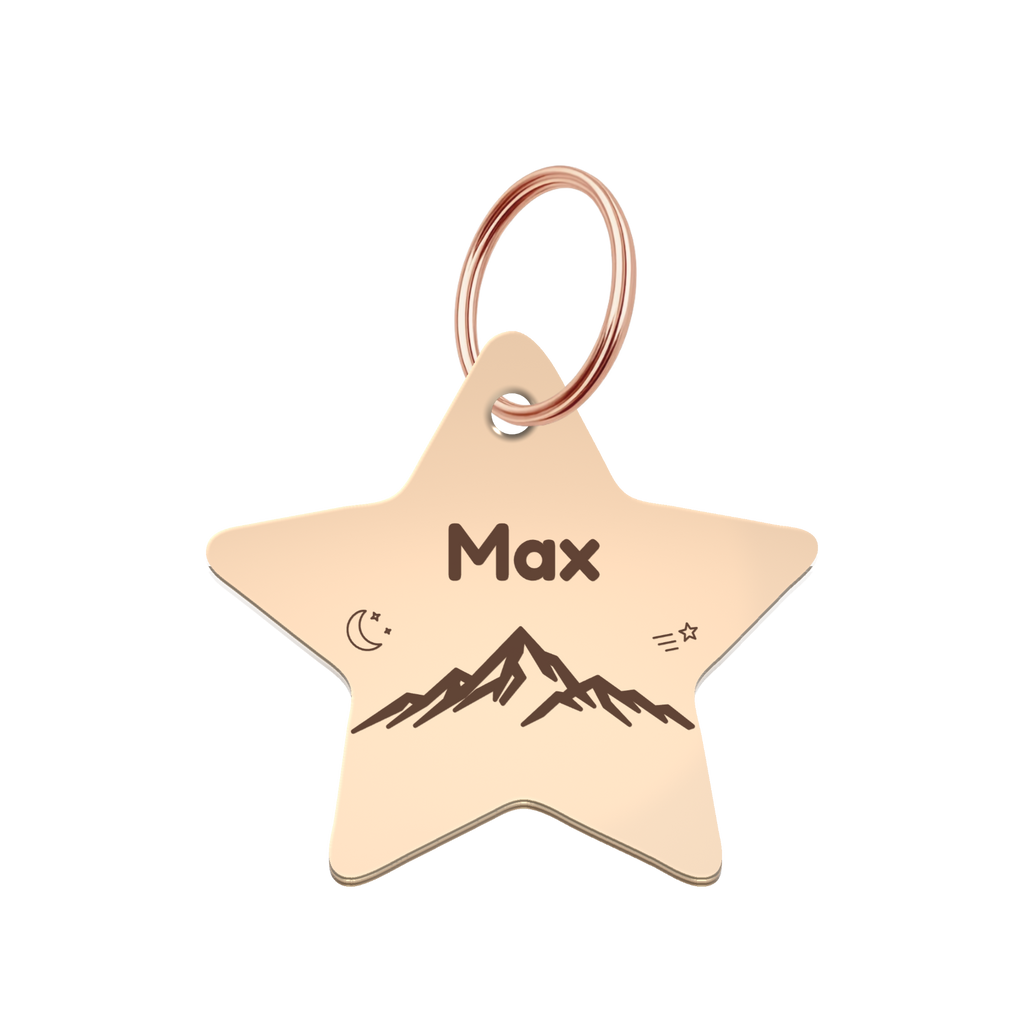 My Little Explorer Custom Star Pet Tag
