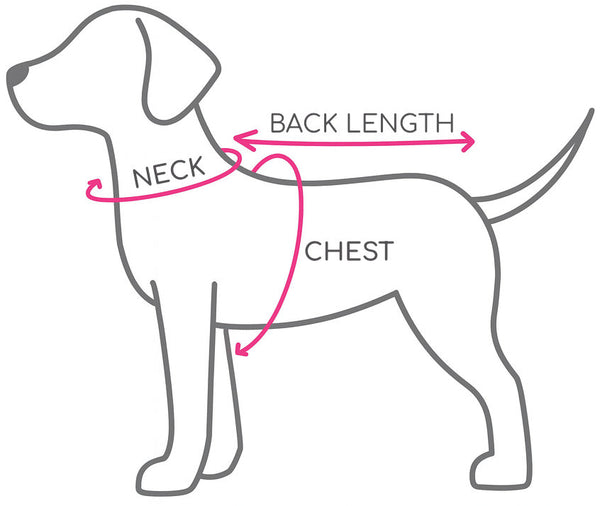Measuring guide preview